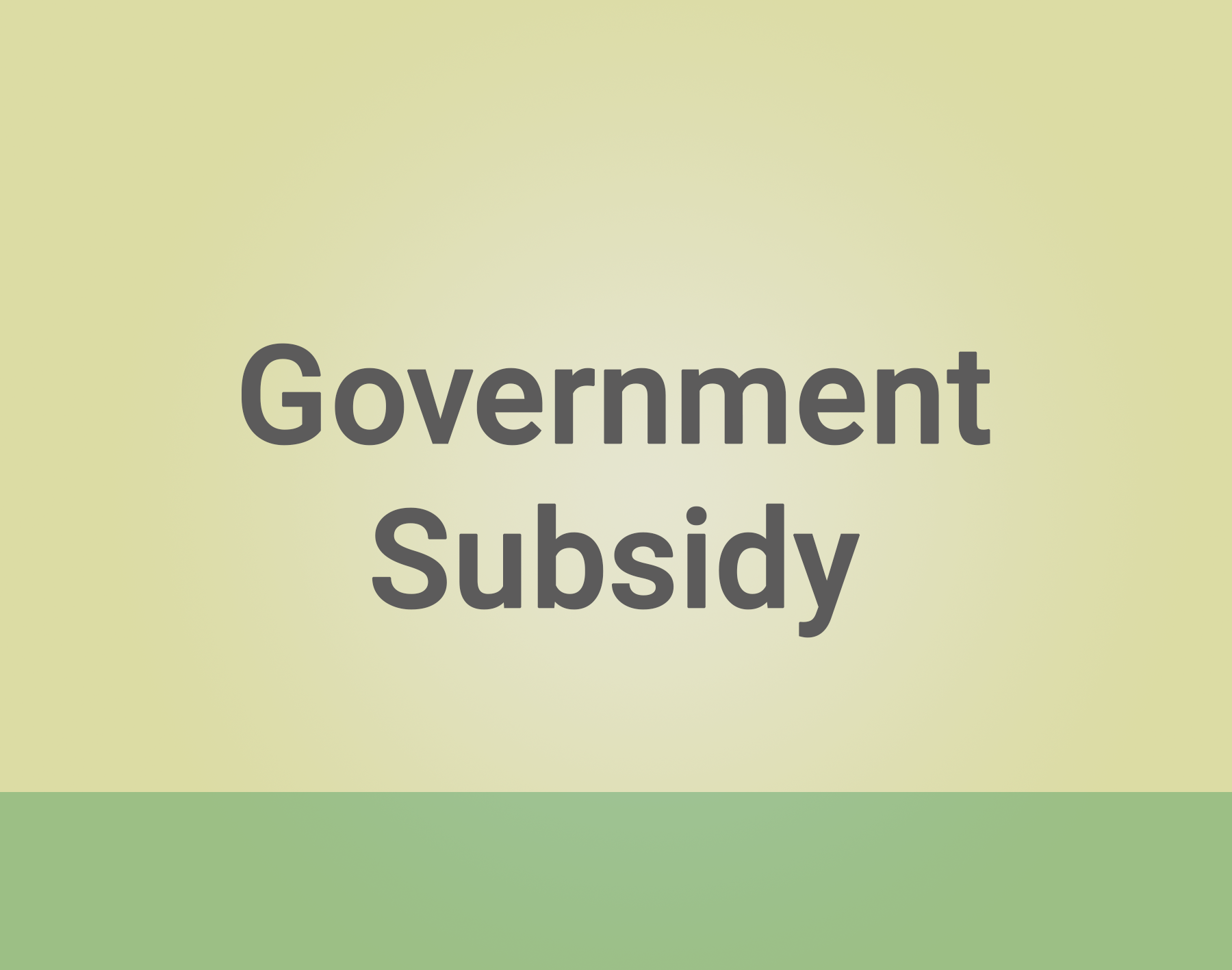 Government subsidies